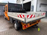 Fiat Ducato Maxi Pritsche/Kipper Doppelk. 35 130 L4 P - Fiat Kühlkastenwagen