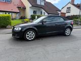 Audi A3 1.8 TFSI S-tronic Cabrio/Vollausstattung - Audi A3: Vollausstattung