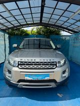 Land Rover Range Rover Evoque Pure - Land Rover: Beige