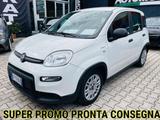 Fiat Panda Panda 1.0 firefly hybrid SUPER PROMO! - Fiat Panda mit Schiebedach