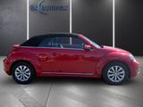 Volkswagen Beetle Cabrio 1.2 TSI Design El. Verdeck SHZ PDC - Volkswagen Beetle: Rot