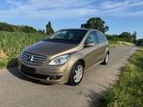 Mercedes-Benz B 200 CDI /Automatik/Scheckheft gepflegt/TÜV/Pan - gebrauchte Mercedes-Benz B 200 aus dem Jahr 2005