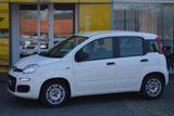Fiat Panda Urban Hybrid 1.0 GSE/Klima/Radio/Bluetooth - Fiat Panda: 1.1