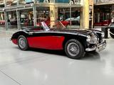 Austin Healey 3000 MK II BJ7 - einer der Besten! - : Cabrio, Beste