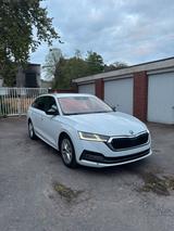Volkswagen Skoda Oktavia 2.0 TDI - : Kombi, Oktavia