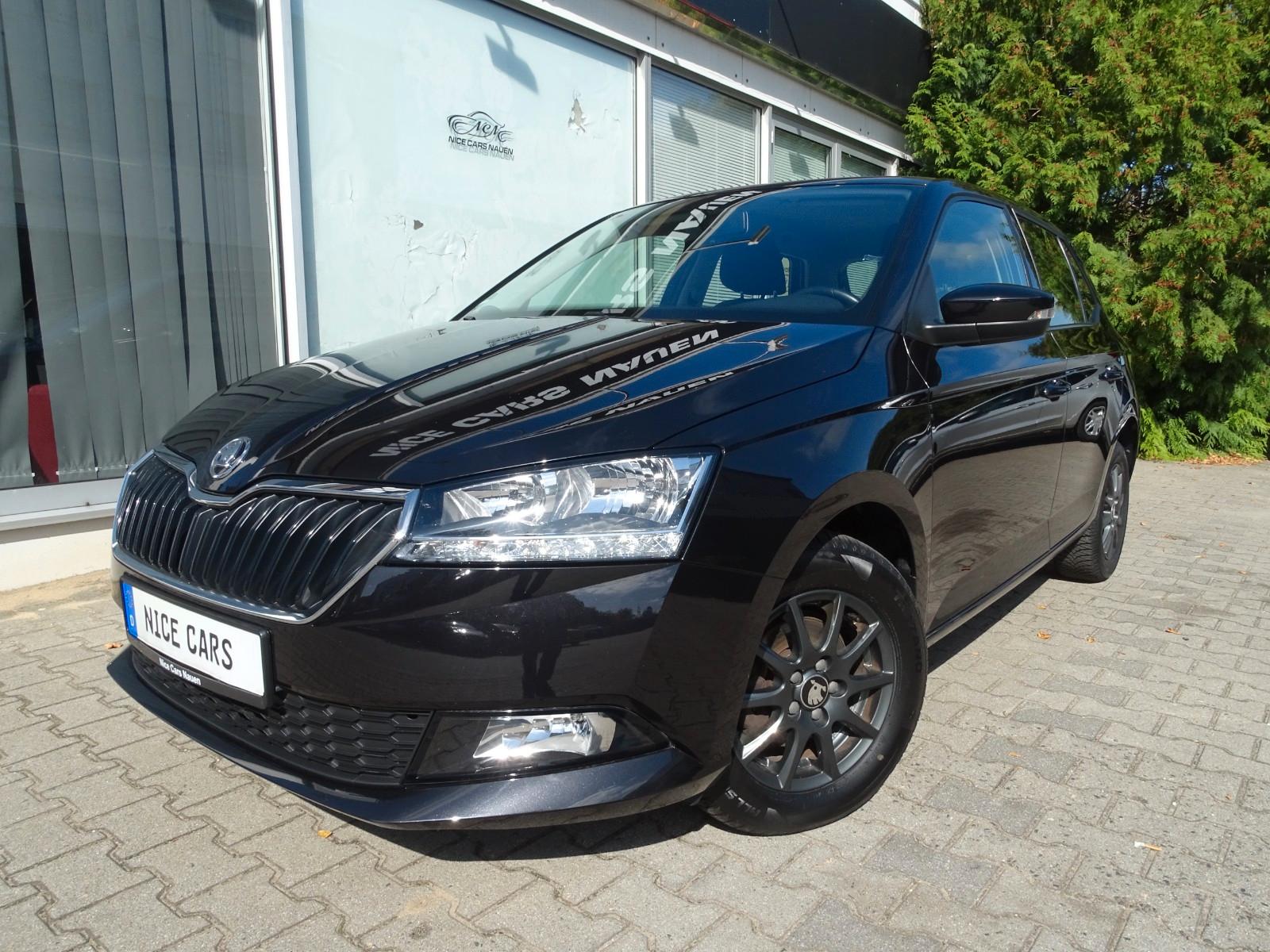 Skoda Fabia Ambition *SMART LINK*R.KAMERA*A/C*TEMPOMAT