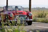 Austin Healey 100/6 (BN4) - Austin Healey: Bn4