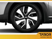 Dacia Sandero - Vorschau Bild 5