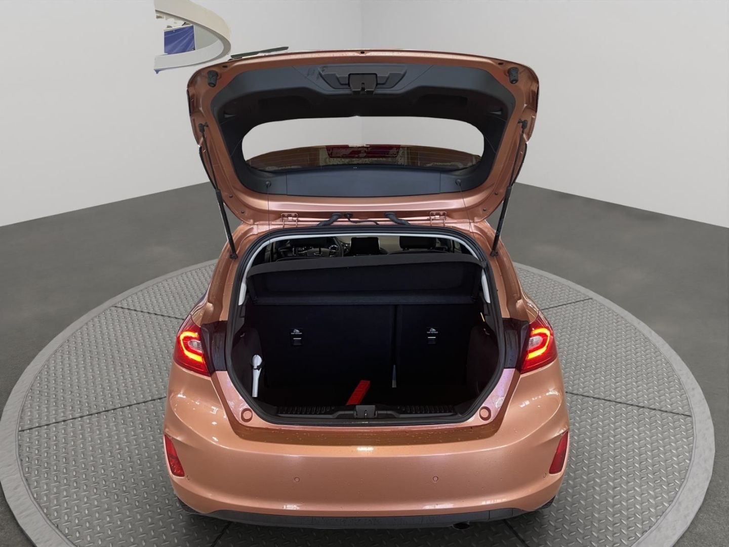 Fahrzeugabbildung Ford Fiesta Titanium Kamera Panoramadach Tempomat