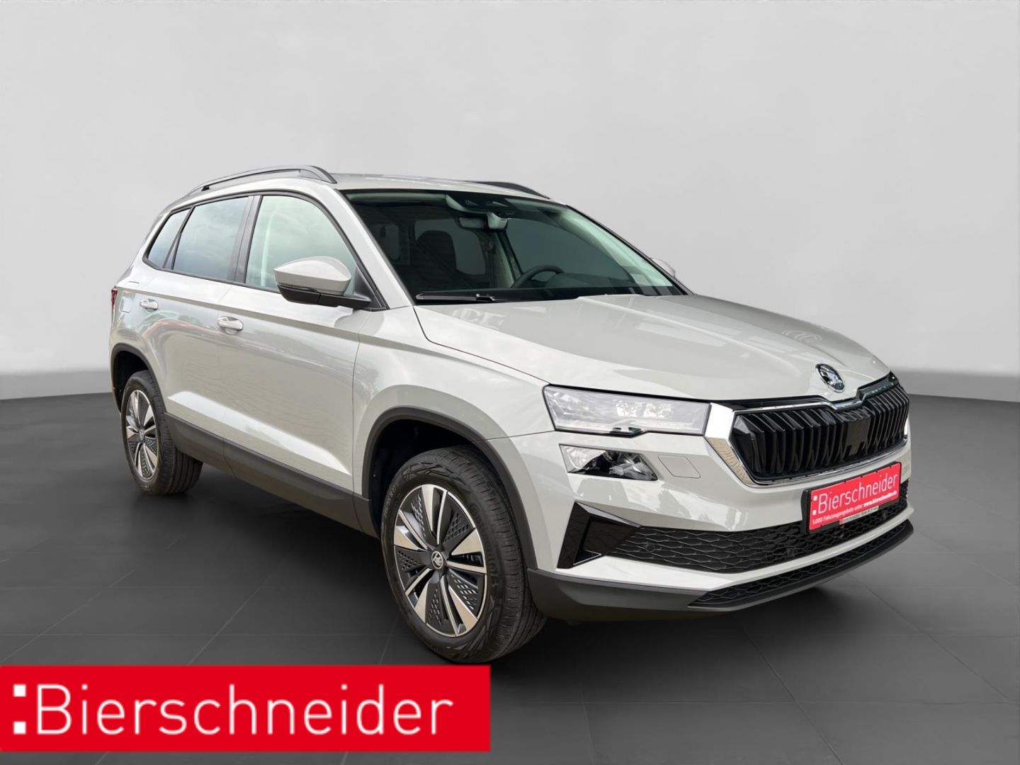 Skoda Karoq - Bild 9