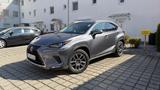 Lexus NX 300 300h  - Lexus: Nx
