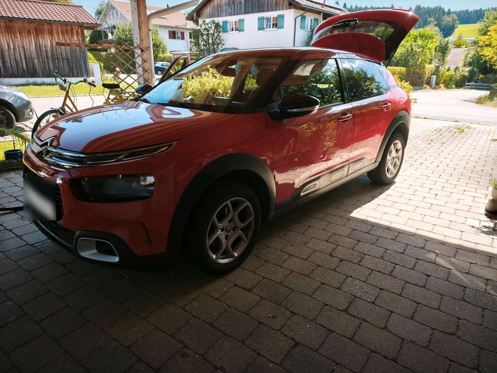 Image of Citroën C4 Cactus