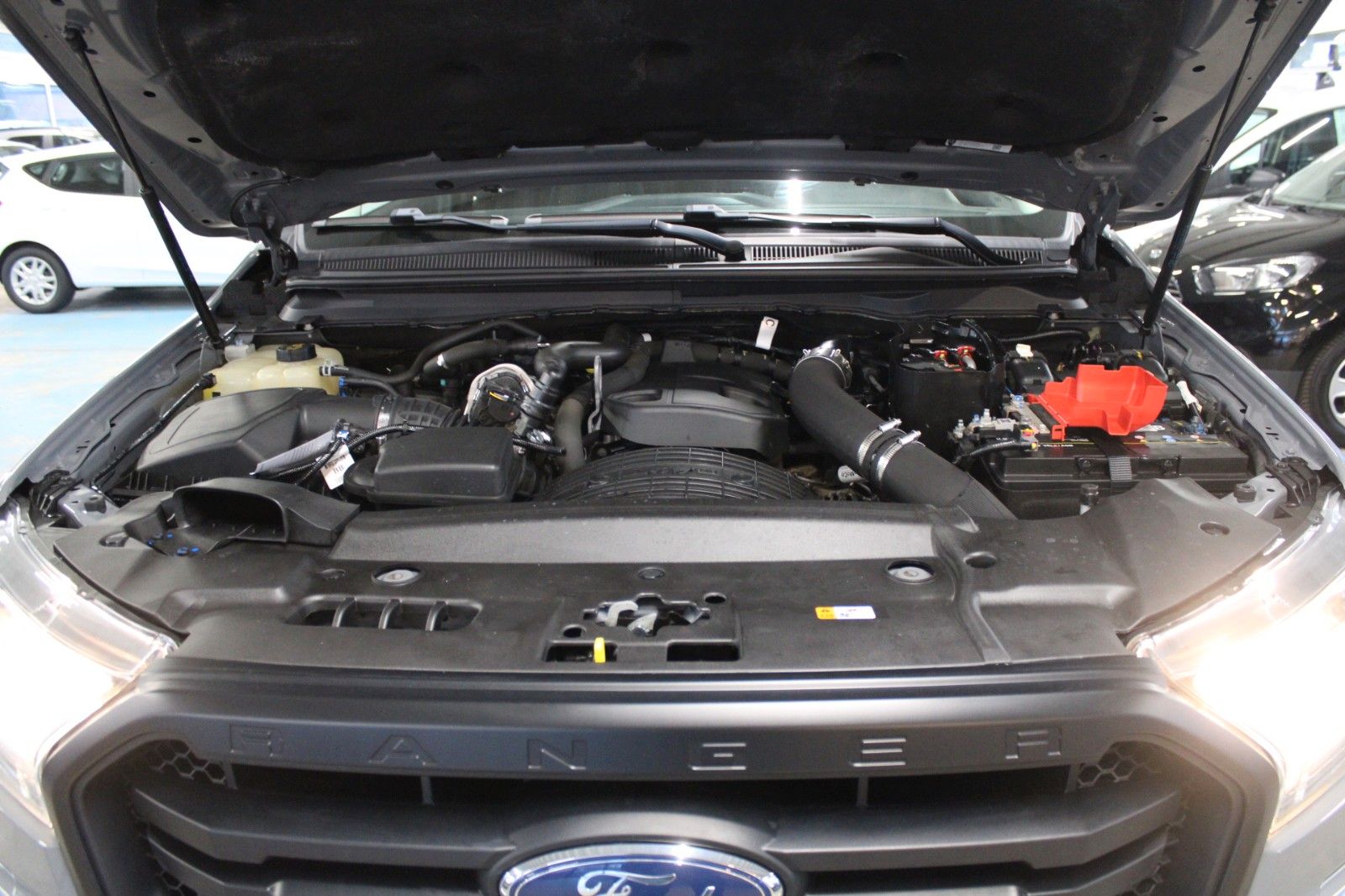 Fahrzeugabbildung Ford Ranger Automatik WOLFTRAK + AHK + Standheizung