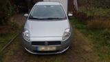 Fiat PKW Fiat Punto Diesel, 2008, 55kW - Fiat Punto: 55