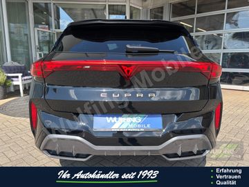 Cupra Terramar - 5