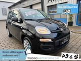 Fiat Panda MY25 1.0 GSE *5-Sitzer*GRA* PDC*Bluet.* - Fiat Panda: Sitze
