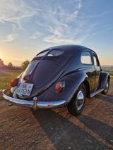 Volkswagen Käfer Brezel Zwitter TÜV neu - Volkswagen Käfer: Limousine