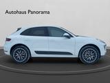 Porsche Macan S Bi Xenon/Pano/Kamera/Bose - Porsche Macan Gebrauchtwagen in Berlin