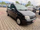 Fiat Panda 1.2 8V MyLive/ Zanhriemen gewechselt - Fiat Panda aus 2011: My