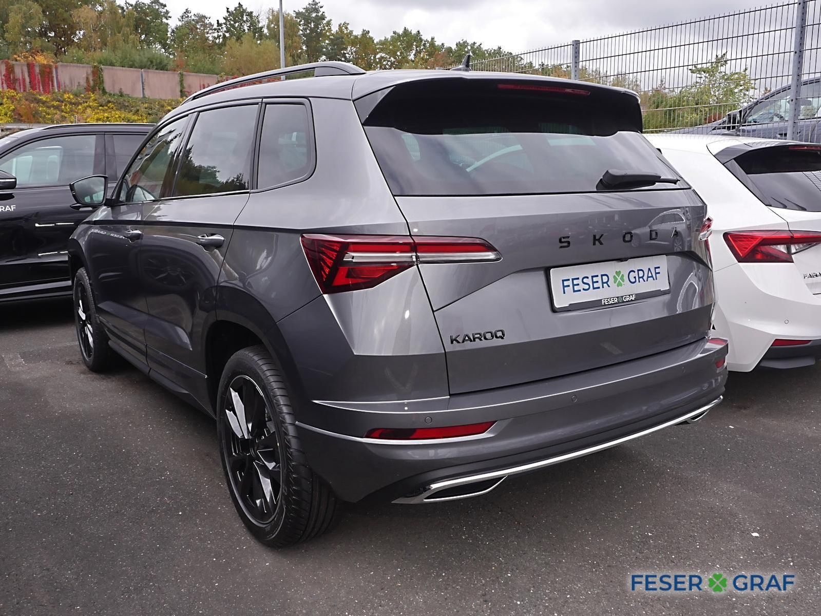 Skoda Karoq - Bild 2