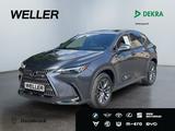 Lexus NX 450h+ E-Four *360°*PDC*LHD*LED*Spurhalt.* - graue Lexus NX-Serie