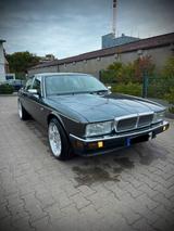 Jaguar XJ40 4.0 Daimler Oldtimer - Jaguar Daimler: 4.0