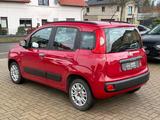 Fiat Panda, Servo, Klima, SEHR GEPFLEGT - Fiat Panda: Rot