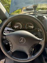 Mercedes-Benz Viano 3.0 CDI AMBIENTE lang - Mercedes-Benz Viano in Köln