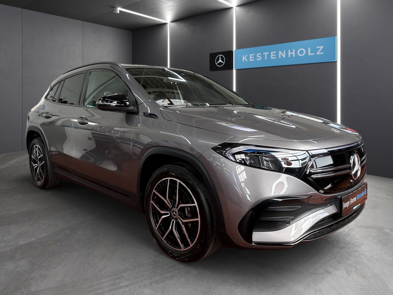 Mercedes-Benz EQA 300 4Matic AMG LED AHK Night Kamera PTS Temp imagem 3