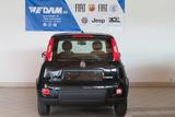 Fiat Panda Pandina 1.0 Hybrid *CityPaket* - Fiat Panda: Pandina