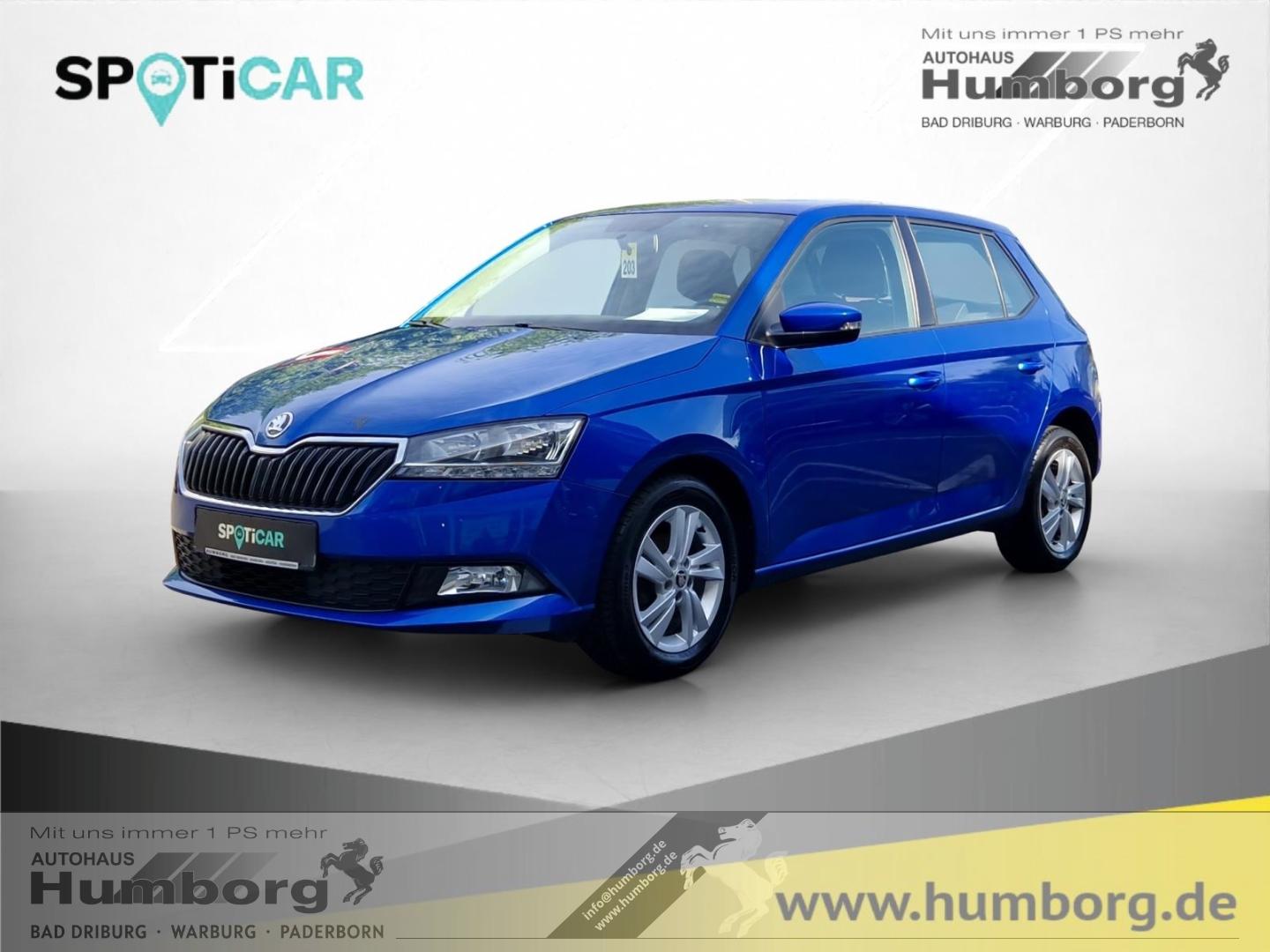 Skoda Fabia 1.0 TSI Ambition Green SHZ Kamera Sperrdif