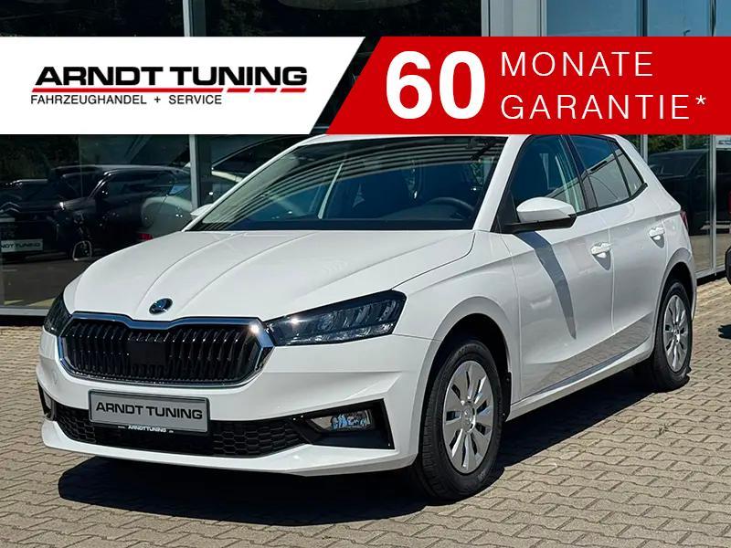 Skoda Fabia 1.0 TSI 116 DSG Selection 5-Jahre Garantie
