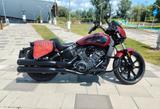 Indian Scout Rogue - INDIAN SCOUT ROGUE