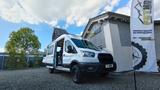 Ford FETMOBIL FETVan AT6 Kasten mit Vollausstattung! - Kastenwagen mit 6 Schlafplätzen