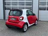 Smart fortwo coupé 66 kW passion Pano Sitzhzg Temp WR - Smart ForTwo: Coupé, Passion