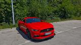 Ford Mustang 2.3 Ecoboost GT-Line - Ford Mustang: For
