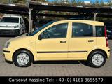 Fiat Panda 1.2 8V Dynamic/1.Hand/Panorama/Servo/ - Fiat Panda mit Panoramadach