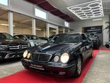 Mercedes-Benz E 240 AVANTGARDE*1.HAND*TÜV NEU*KLIMA*SHZ* - gebrauchte Mercedes-Benz E 240 aus dem Jahr 2000