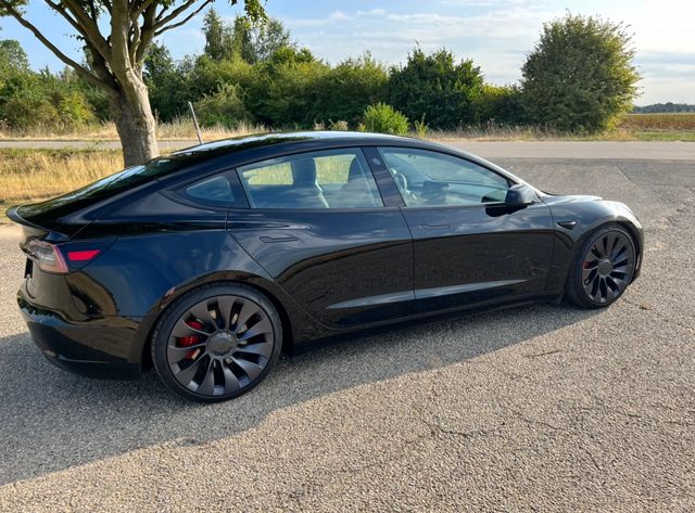 Tesla Model 3 Performance /KW V3 Fahrwerk  /8x bereift