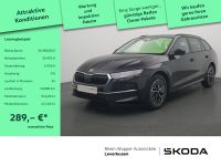 Skoda Octavia - Vorschau Bild 1