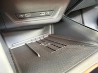 Cupra Terramar VZ 2.0 TSI DSG 4Drive PANO AHK 5J GAR bei Autohaus Landmann & Maier OHG