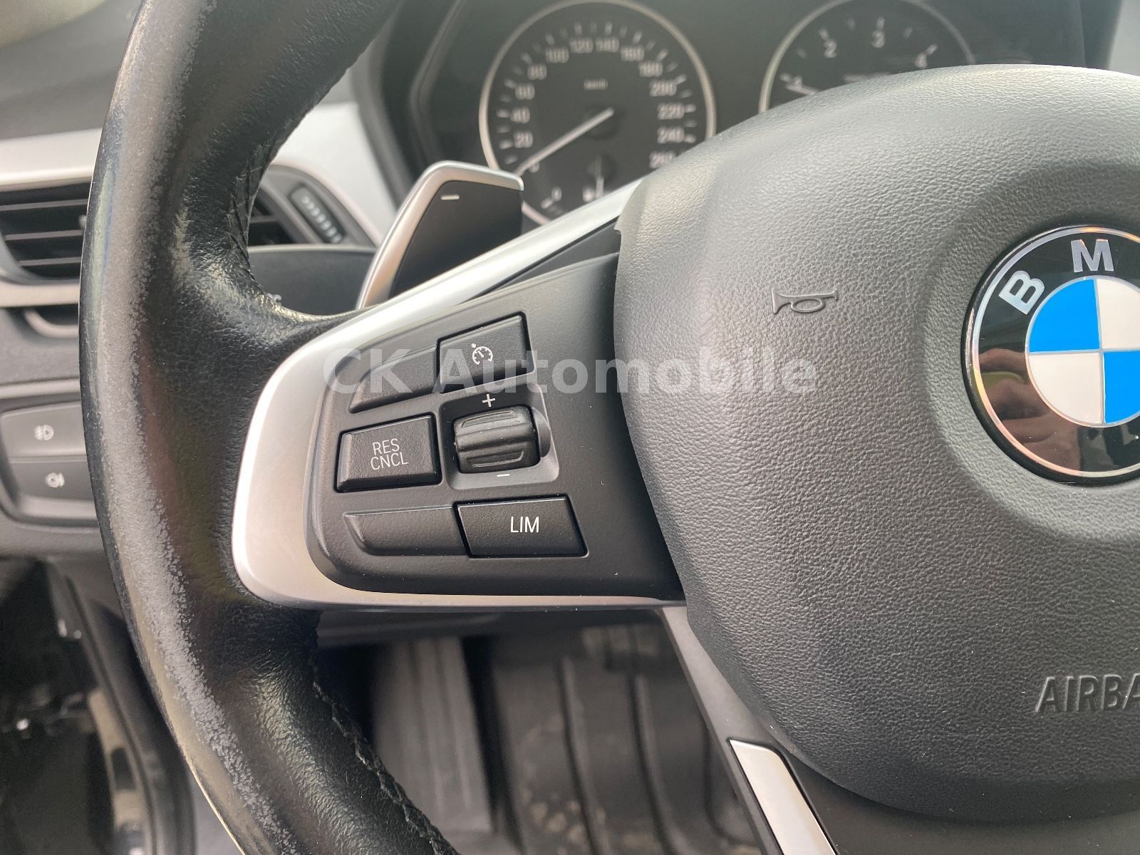 Fahrzeugabbildung BMW X1 xDrive 20d Advantage Autom./Navi/Pano/LED/PDC