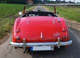 Austin Healey 3000 MKI (BN7) - Austin Healey Oldtimer