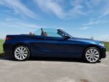 BMW 220i Cabrio Luxury Line Leder Xenon  Service neu - BMW 220: I