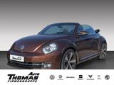 Volkswagen Beetle Cabriolet  Allstar 1.4 TSI NAVI+PDC+SHZ - Volkswagen Beetle mit Benzin-Antrieb: Cabrio, 1.4