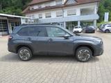 Subaru Forester 2.0ie Active Memory Sitze 360 Kamera LE - scheckheftgepflegte Subaru Forester