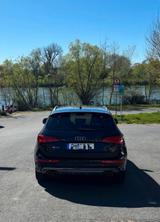 Audi SQ5 3.0 TDI competition tiptronic quattro - - Audi SQ5 in Frankfurt (Main)