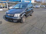 Fiat Panda 1,2 Dynamic. Zahnriemen,Bremse,... - Fiat Panda Gebrauchtwagen in Wuppertal