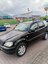 Mercedes-Benz ML 430 V8  TOP ZUSTAND TÜV/NEU  - Mercedes-Benz ML 430 Gebrauchtwagen