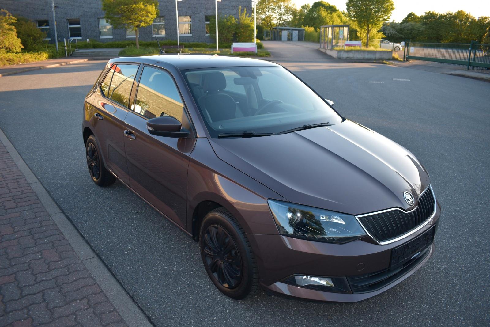 Skoda Fabia 1.2l TSI TÜV 12.2027 SERVIVCE NEU